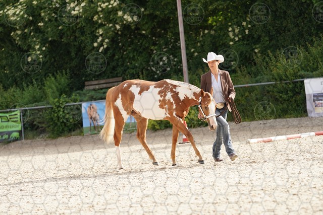 sA9K07320.JPG